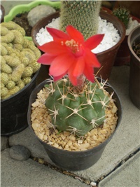 dd59225a-Picture 6086.jpg